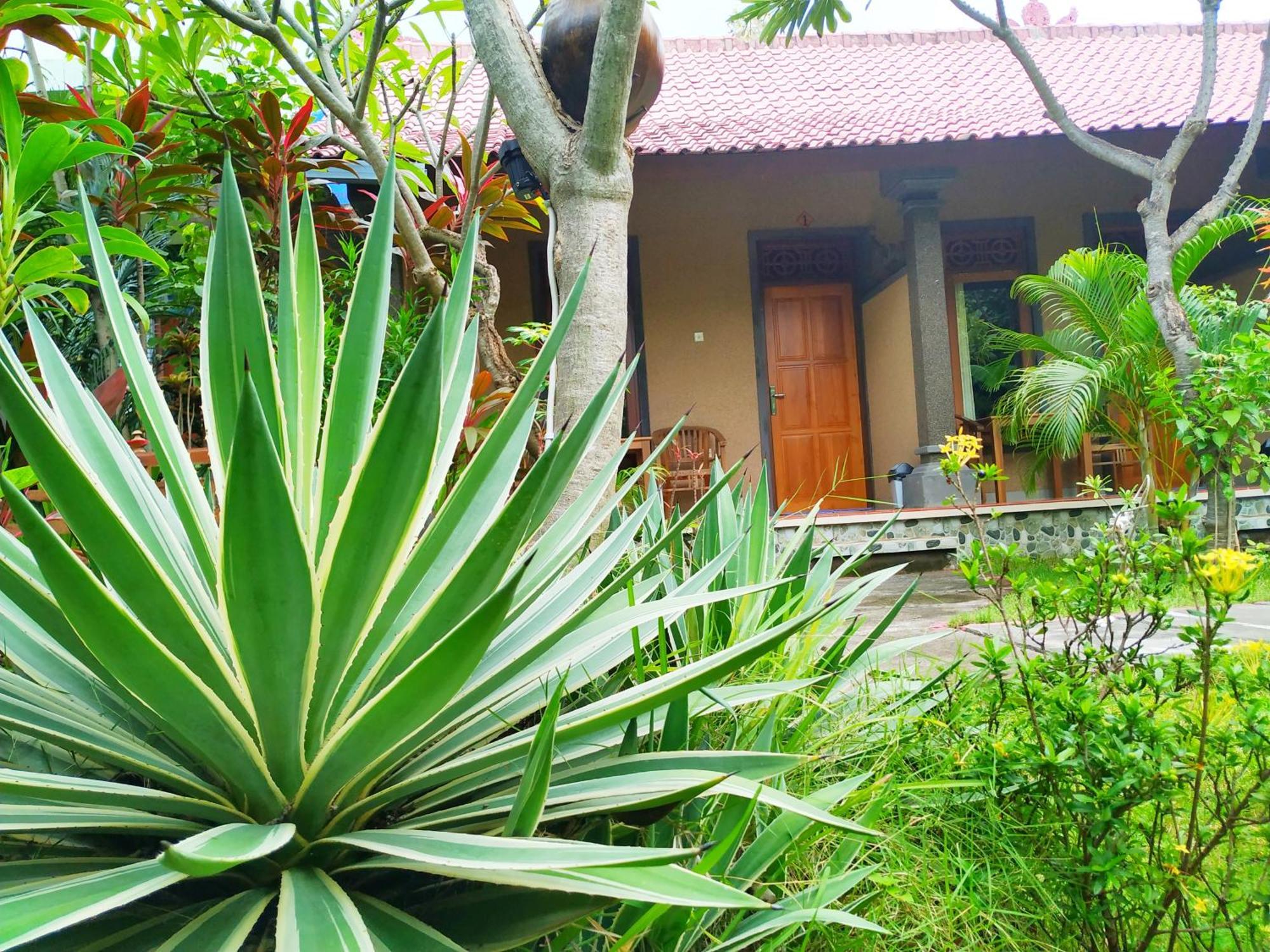 Asih Homestay เปมูเตรัน ภายนอก รูปภาพ